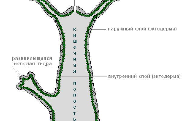 Kraken ссылка официальная